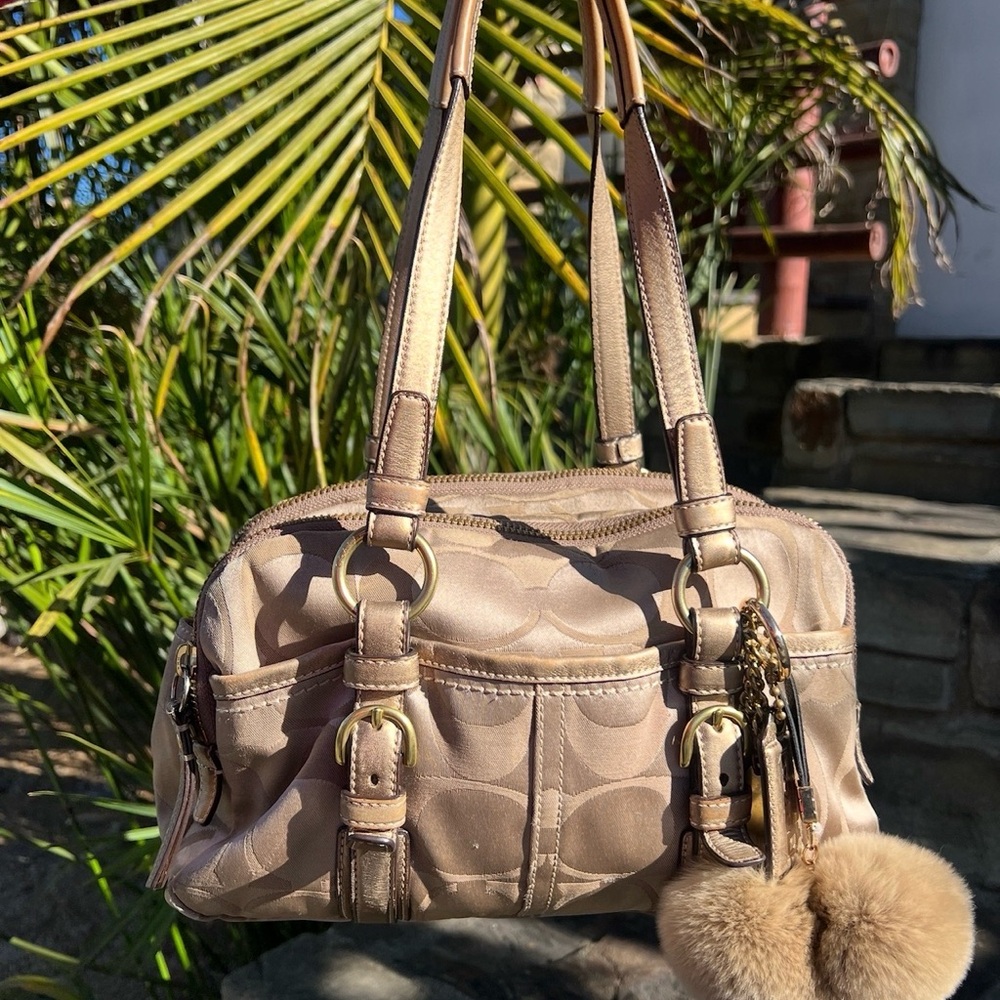 Coach Bonnie Y2K bag